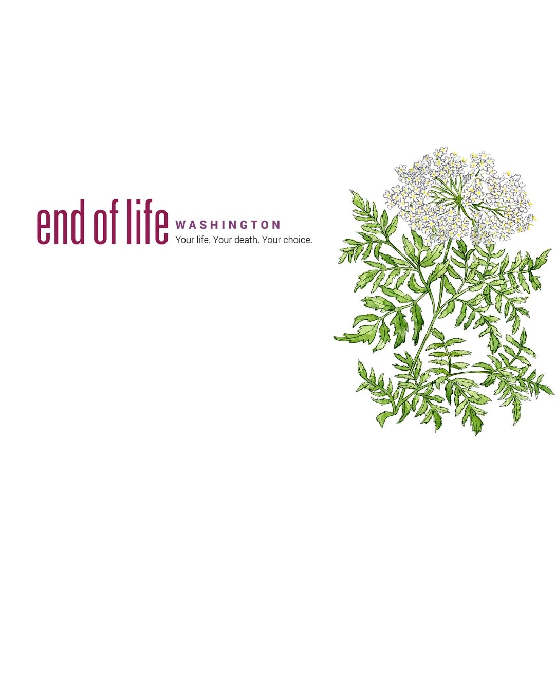 End of life washington